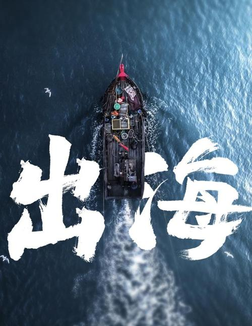 有道翻译短视频出海|有道翻译的
