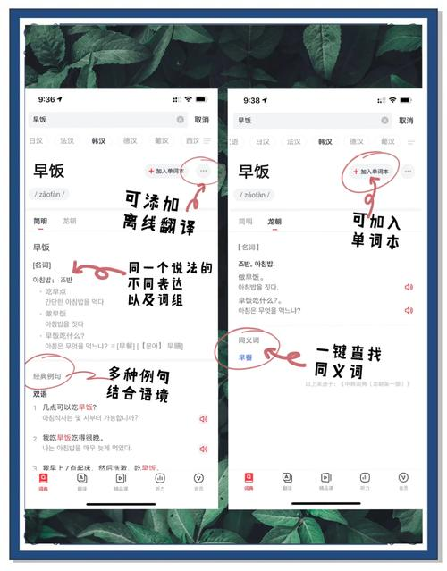 有道翻译准确率怎样(有道翻译准确度高吗) 有道翻译准确率怎样(有道翻译准确度高吗)